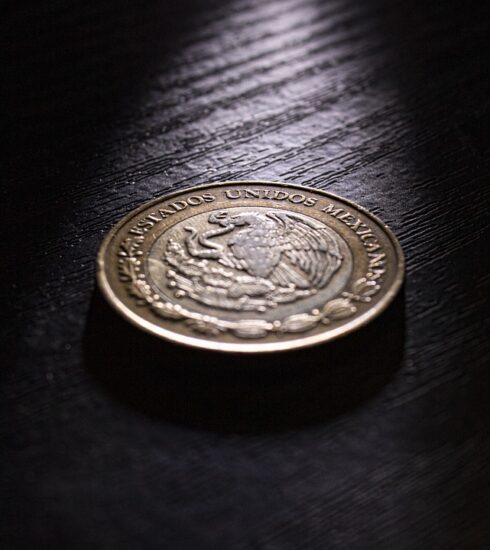 Coin Money Mexican Peso Currency  - sebastianperezhdez / Pixabay